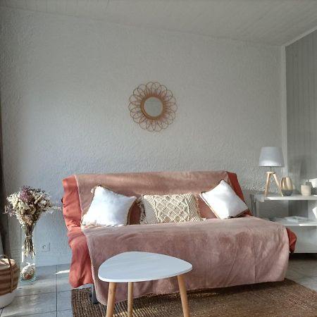 Charmant Appartement Bord De Mer Argelès-sur-Mer Extérieur photo